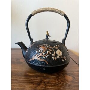 Cast Iron Tea Steeping Pot with Infuser Japanese Style